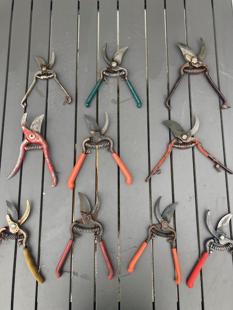 10 pruners on patio table
