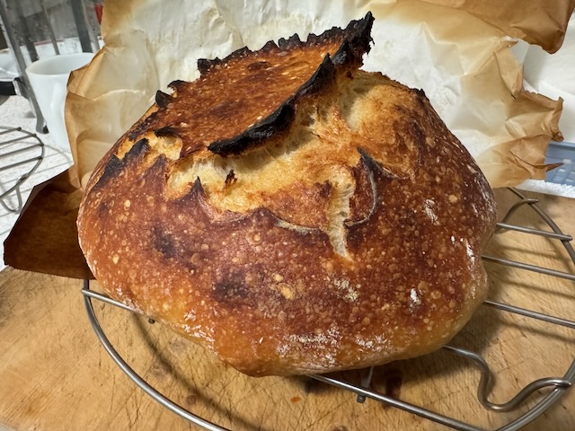 Beautiful sourdough bread with ears and bubbles.